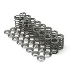 VALVE SPRINGS - DUAL (Honda H22, Nissan SR20VE)