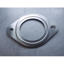 Catalytic Converter Gasket