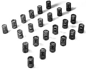 Heavy Duty Valve Springs, VG30