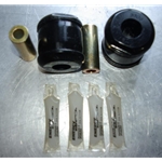 Rear Control Arm Bushing Set